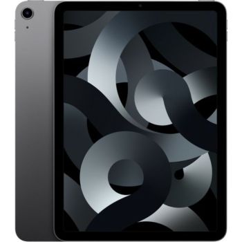 iPad Air 10.9 cala 256 GB Szary