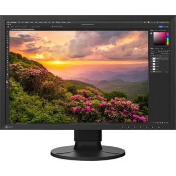 Monitor EIZO ColorEdge CS2400S (24.1" /IPS /60Hz /1920 x 1200 /Czarny)