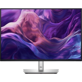 Monitor DELL 210-BMJD/5Y (24" /IPS /100Hz /1920 x 1200 /Srebrny )